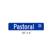 30x6 inch blue street sign with white street name on reflective vinyl